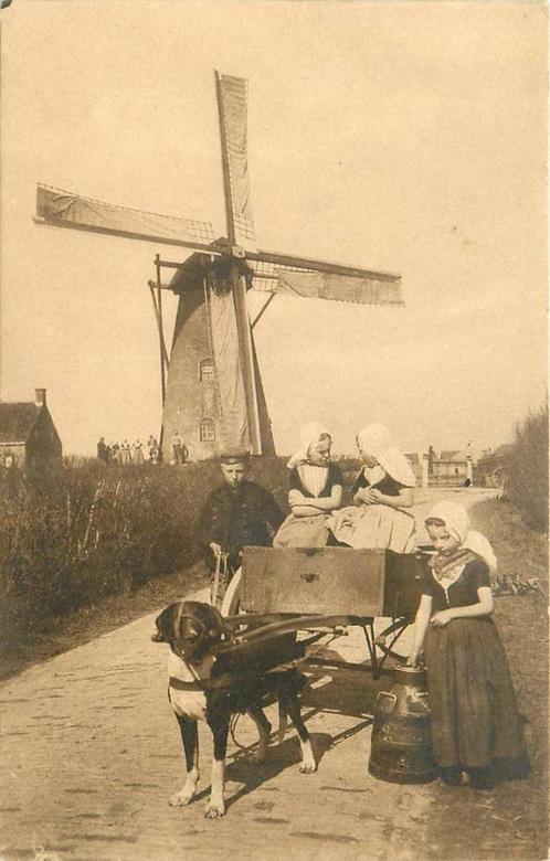 (388-035-033) Zeeland Walchersche Hondenkar, Verzamelen, Ansichtkaarten | Nederland, Zeeland, Verzenden