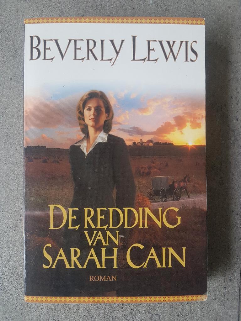 Beverly Lewis, Boeken, Romans, Ophalen of Verzenden, Gelezen, Beverly Lewis, Amerika