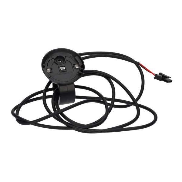 ion, Fietsen en Brommers, Fietsonderdelen, Nieuw, Algemeen, Wiel, Ophalen of Verzenden