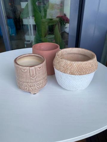 Flower Plant Vases beschikbaar voor biedingen