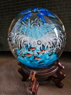 Vintage Murano presspapier onderwater voorstelling vissen, Antiek en Kunst, Ophalen of Verzenden