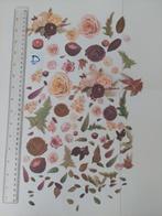 Diecuts D, Ophalen, Nieuw, Overige thema's, Pons of Mal
