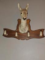 Taxidermie Wanddecoratie met Hertenkop, Antiek en Kunst, Ophalen
