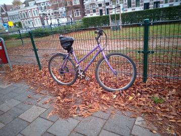 Aantal fietsen te koop  beschikbaar voor biedingen