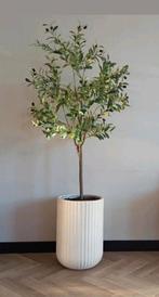 Prachtige grote kunst olijfboom, Ophalen of Verzenden, Nieuw