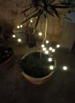 Solar vuurvlieglamp voor buiten – Sfeer led tuinverlichting!, Zonne-energie, Minder dan 50 watt, Nieuw, Ophalen of Verzenden