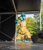 ZSMW Blauwe kat fursuit partial, Hobby en Vrije tijd, Kostuums, Theaterbenodigdheden en LARP, Ophalen of Verzenden, Zo goed als nieuw