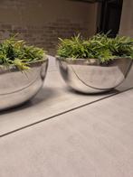 2 stuks BOB bloempot/vaas, Huis en Inrichting, Overige kleuren, Ophalen of Verzenden, Minder dan 50 cm, Glas