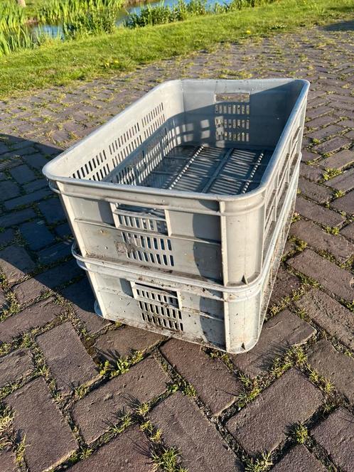 bakken kisten kratten sorteer bak opberg krat bloembollen ♻️, Doe-het-zelf en Verbouw, Schildersmaterialen, Overige typen, Ophalen
