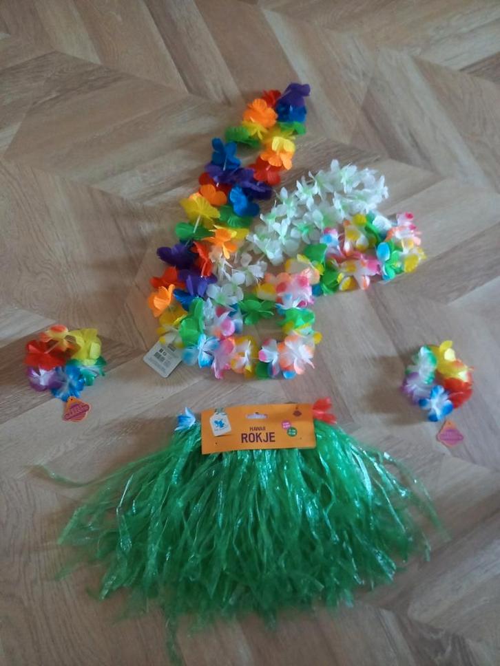 Hawai verkleedset kind, Kleding | Dames, Carnavalskleding en Feestkleding, Zo goed als nieuw, Ophalen