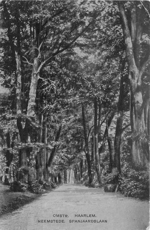 (388-063-031) Haarlem Spanjaardslaan, Verzamelen, Ansichtkaarten | Nederland, Noord-Holland, Verzenden