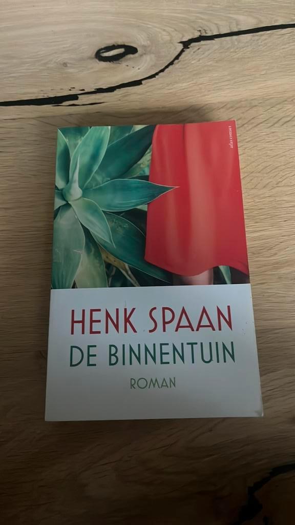 Henk Spaan - De binnentuin, Boeken, Literatuur, Zo goed als nieuw, Ophalen of Verzenden