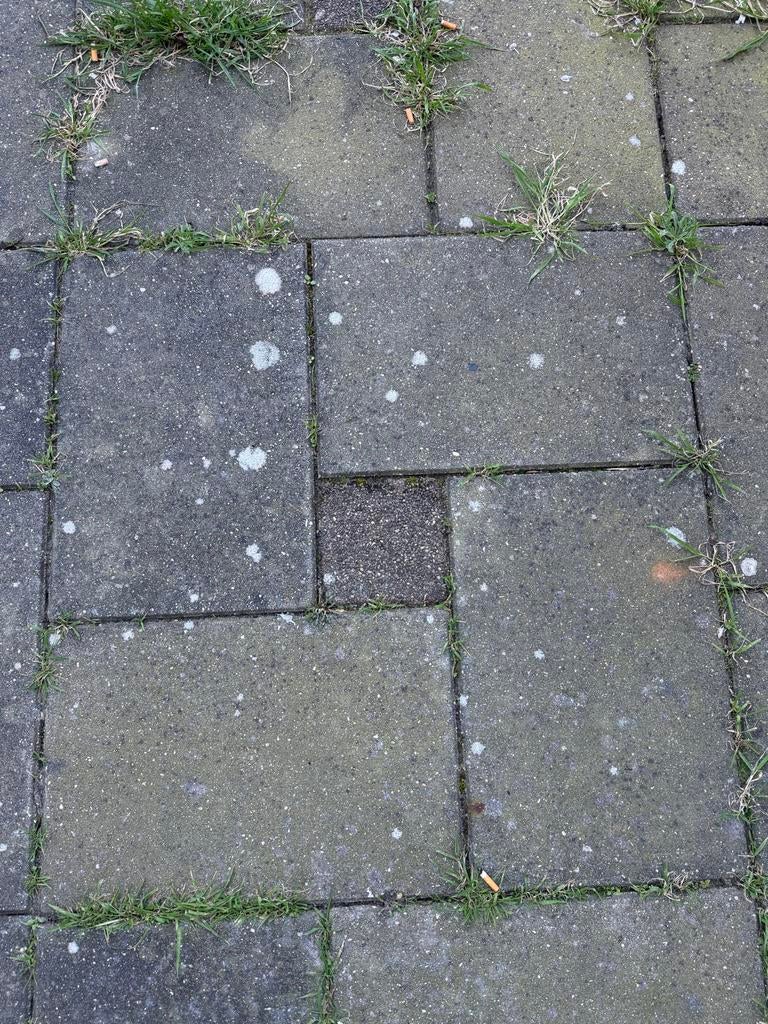 50m2 Tegels met opsluitbanden, Tuin en Terras, Tegels en Klinkers, Ophalen, Gebruikt, 10 m² of meer, Beton