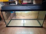Juwel Aquarium met verlichting., Dieren en Toebehoren, Vissen | Aquaria en Toebehoren, Ophalen