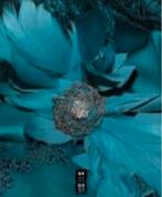 Sonia Pena - Prachtige kanten Jurk maat 48 - Nieuw €390, Sonia Pena -, Overige kleuren, Maat 46/48 (XL) of groter, Nieuw