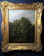Schilderij Andreas Gerrit Jacobsen: Bos landschap in Drenthe, Antiek en Kunst, Kunst | Schilderijen | Klassiek, Ophalen