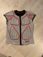 Rugbeschermer Snowboard/Ski merk Demon maat L maat L, Ophalen, Gebruikt