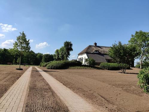 gras zaaien, gazon aanleg, inzaaien gras, gazon, Diensten en Vakmensen, Tuinmannen en Stratenmakers