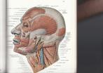 Anatomie: Sobotta- Atlas der Anatomie des Menschen., Ophalen of Verzenden, Nieuw