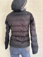 Kingsland gewatteerde jas 36, Dieren en Toebehoren, Paardrijkleding, Gebruikt, Dressuur, Ophalen of Verzenden, Dames