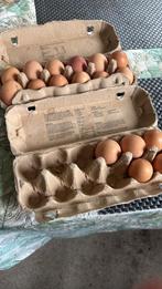 Vrije uitloop eieren, Ophalen of Verzenden