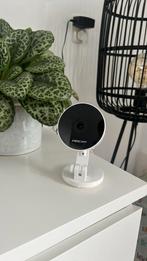 Foscam C2M Beveiligingscamera - Binnencamera, Audio, Tv en Foto, Videobewaking, Ophalen of Verzenden, Zo goed als nieuw