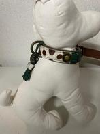 Dwam ivy m2.5, Dieren en Toebehoren, Ophalen, Dwam, ?, Nieuw