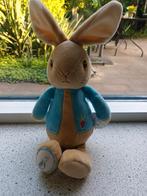 Konijn Peter Pieter Rabbit Rainbow Designs Beatrix Potter, Ophalen of Verzenden, Zo goed als nieuw, Konijn