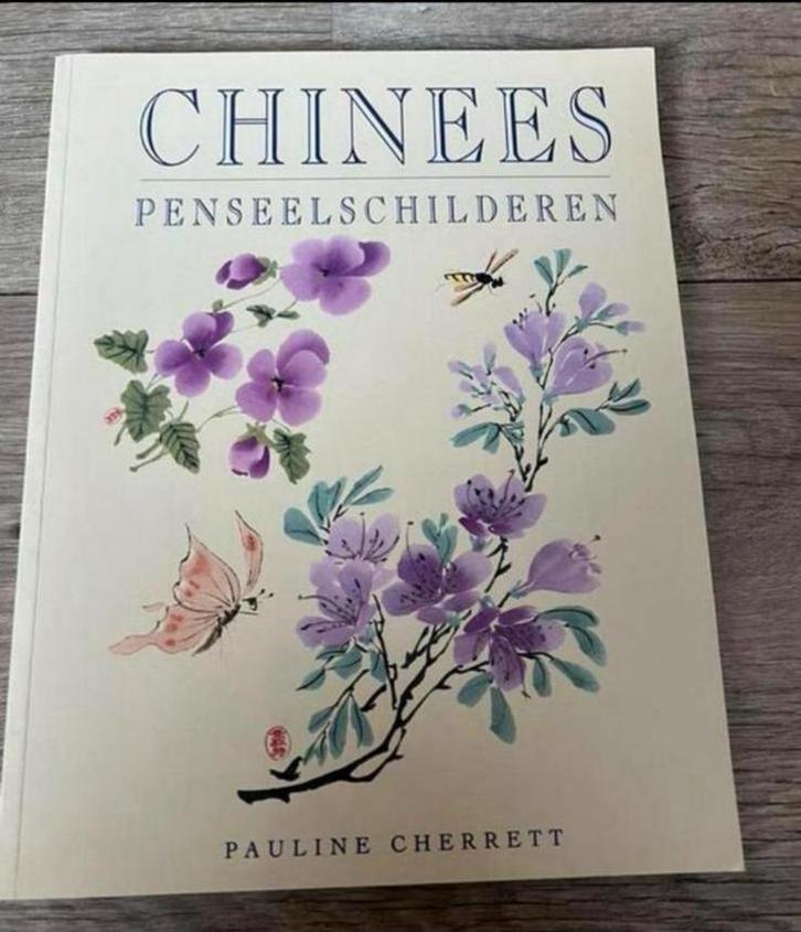 Chinees penseelschilderen, Boeken, Esoterie en Spiritualiteit, Zo goed als nieuw, Achtergrond en Informatie, Ophalen of Verzenden