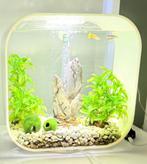 Biorb aquarium 30 liter, Ophalen, Zo goed als nieuw, Leeg aquarium