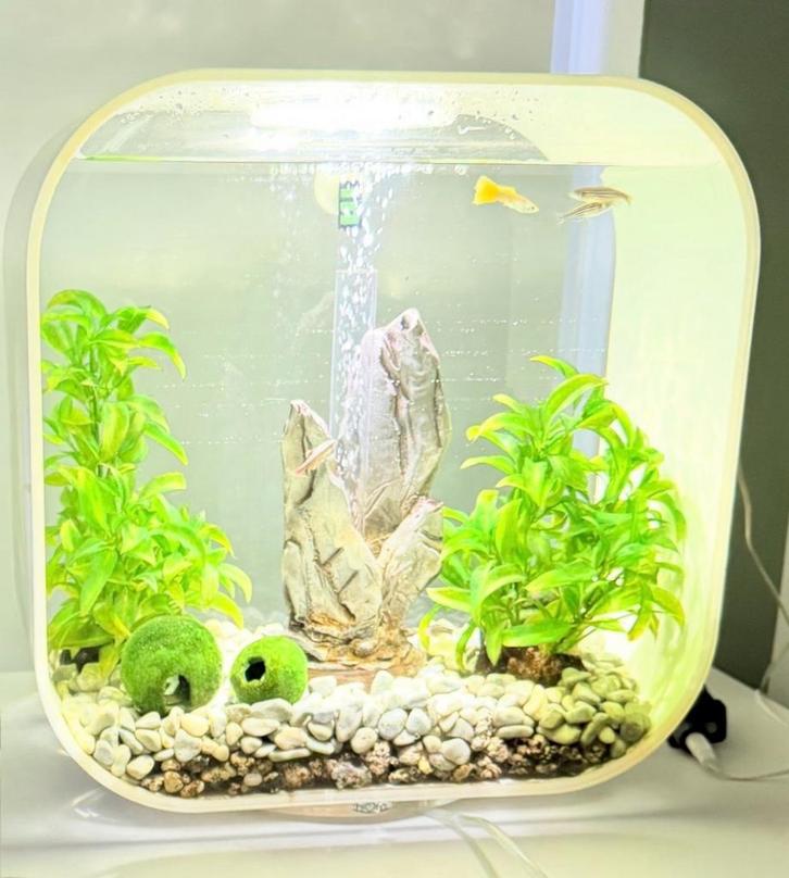 Biorb aquarium 30 liter, Dieren en Toebehoren, Vissen | Aquaria en Toebehoren, Zo goed als nieuw, Leeg aquarium, Ophalen