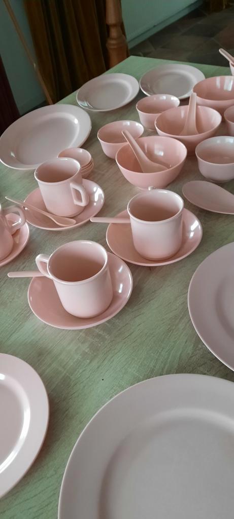 Camping/keukenservies Melamine rose 55 euro  OPHALEN 10KG+, Huis en Inrichting, Keuken | Servies, Zo goed als nieuw, Bord(en)