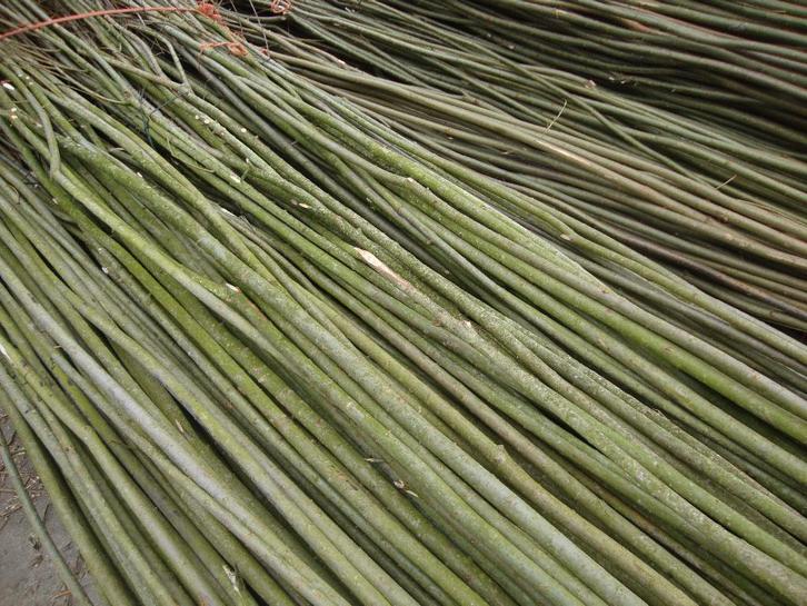 Vlechthout., Tuin en Terras, Schuttingen, Nieuw, Hout, 2 meter of meer, 3 tot 6 meter, Ophalen