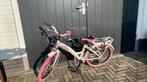 Meisjes fiets 20 inch, Fietsen en Brommers, Ophalen, Gebruikt, Handrem, Loekie prinses