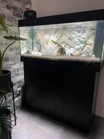 Juwel rio 180, Ophalen, Gebruikt, Verlichting of Verwarming