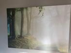 Groot formaat Ikea poster, mistig bos., Ophalen