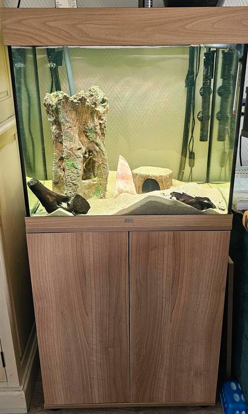 Complete juwel lido 120 met helialux verlichting, Dieren en Toebehoren, Vissen | Aquaria en Toebehoren, Zo goed als nieuw, Gevuld zoetwateraquarium
