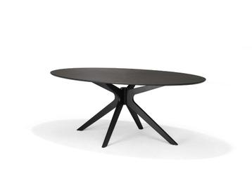 Eettafel Julio ovaal zwart gelakt eiken 200x110cm | Webshop beschikbaar voor biedingen