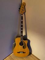 Fender elektrisch-akoestische basgitaar, Muziek en Instrumenten, Snaarinstrumenten | Gitaren | Bas, Ophalen, Gebruikt, Semi-akoestisch