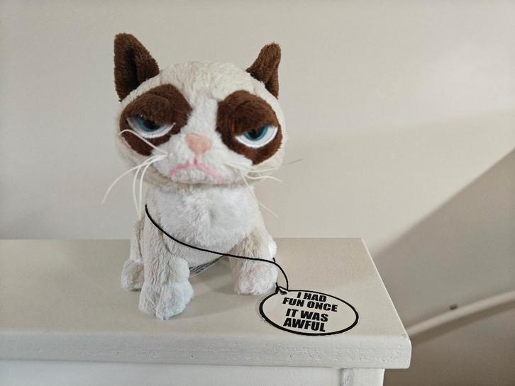 Knuffel Grumpy cat, Kinderen en Baby's, Speelgoed | Knuffels en Pluche, Zo goed als nieuw, Overige typen, Ophalen of Verzenden