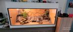 Mooi zelfgemaakt terrarium + luipaardgekko's., Dieren en Toebehoren, Reptielen en Amfibieën | Toebehoren, Terrarium of Paludarium