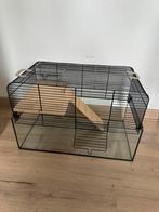 Hamsterkooi, Minder dan 60 cm, Kooi, Minder dan 75 cm, Ophalen of Verzenden