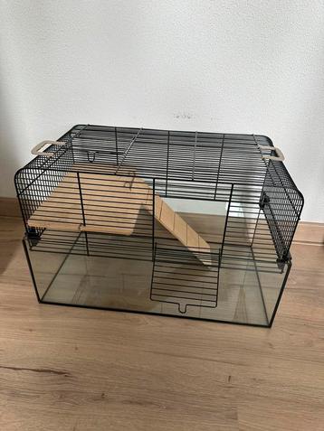Hamsterkooi beschikbaar voor biedingen