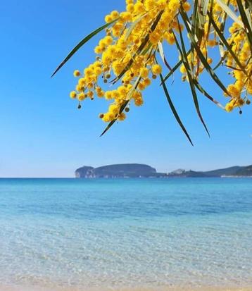 vakantiewoning particulier Alghero Sardinië Italie  beschikbaar voor biedingen