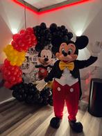 Feestjes, mascotte, versiering, ledcijfers, Ophalen of Verzenden, Zo goed als nieuw, Verjaardag