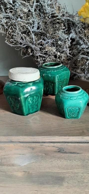 Gember potten beschikbaar voor biedingen