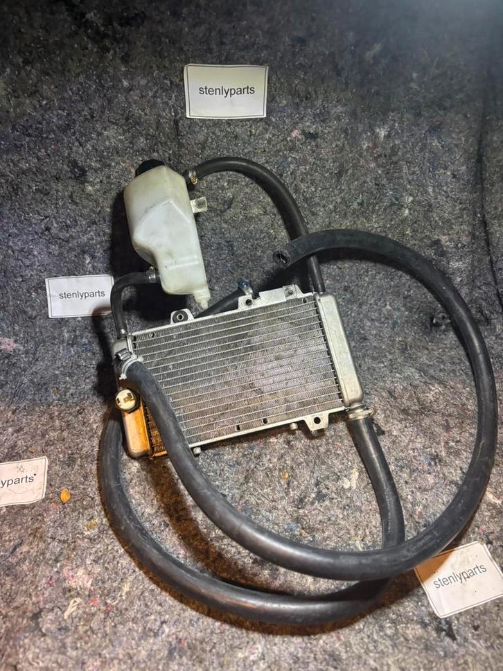 Runner rad past op zip, Fietsen en Brommers, Brommeronderdelen | Algemeen, Zo goed als nieuw, Ophalen of Verzenden