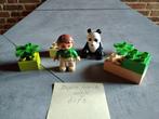 Duplo set met grote panda en verzorgster no. 6173, Ophalen of Verzenden, Zo goed als nieuw, Complete set, Duplo