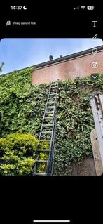 tuinman onderhoud en tuinrenovatie, Diensten en Vakmensen, Schoonmakers en Glazenwassers, Schoonmaken bedrijfsruimte