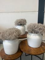 3 Witte Potten - Decoratief, Ophalen, Gebruikt, Wit, Aardewerk of Porselein